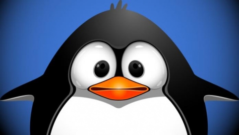 Google запустил долгожданное обновление Penguin 4.0