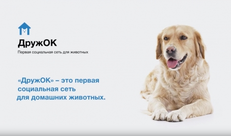 «Одноклассники» запустили социальную сеть для домашних животных